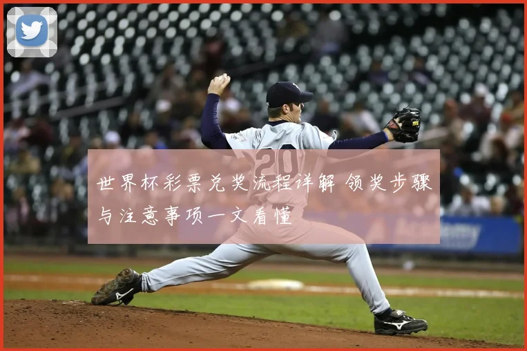 世界杯彩票兑奖流程详解 领奖步骤与注意事项一文看懂